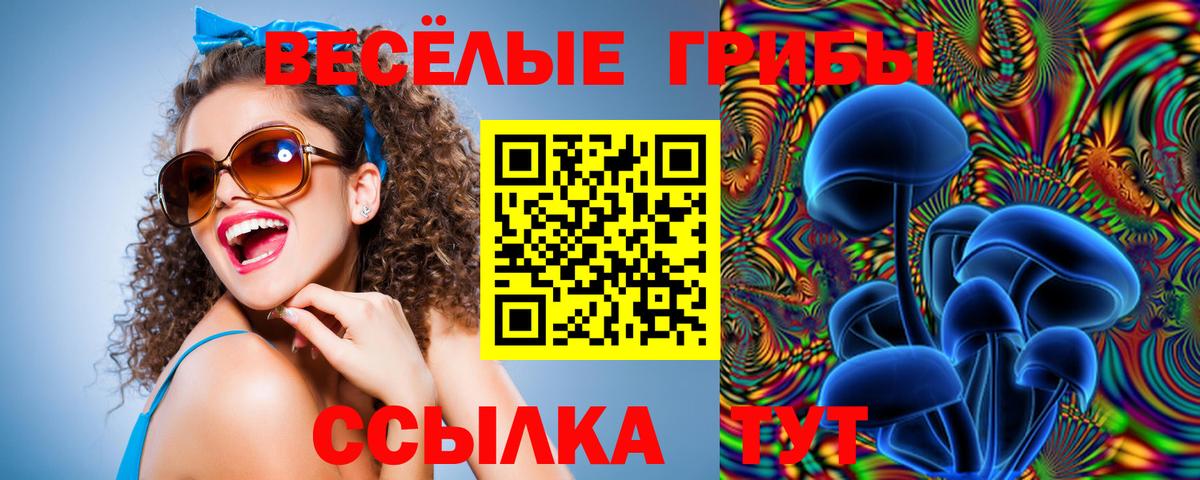 Псилоцибиновые грибы MAGIC MUSHROOMS  Вход с VPN  Галлюциногенные грибы мухоморы  Тельмана 