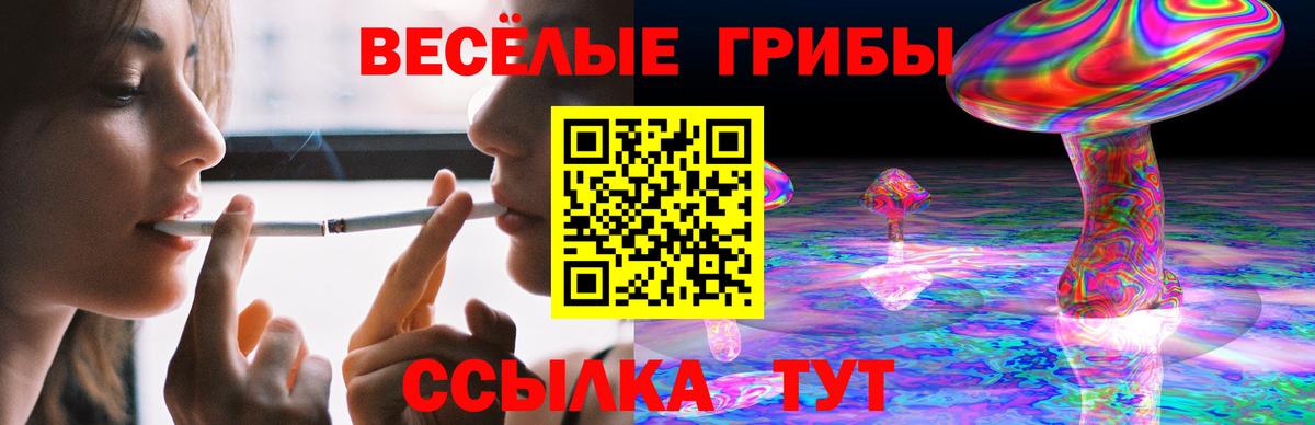 Псилоцибиновые грибы мухоморы Тельмана